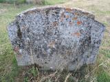 image of grave number 501982